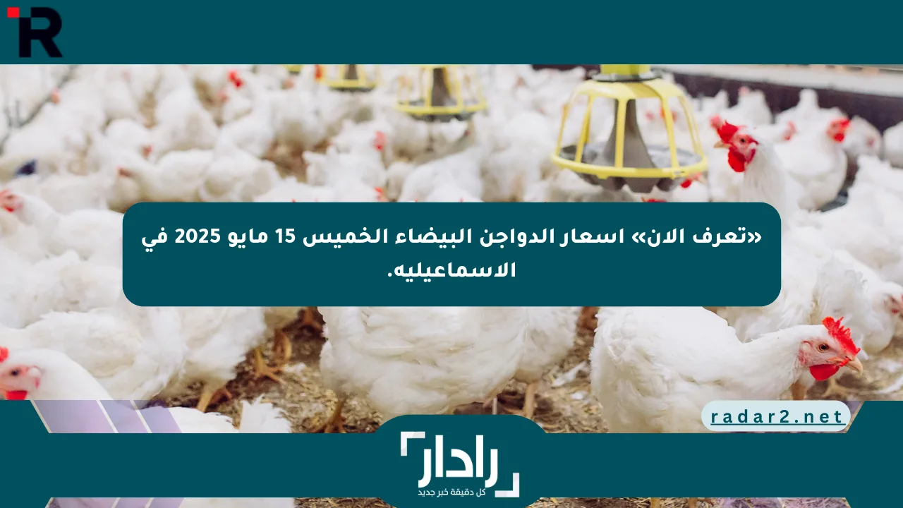 «تعرف الآن» أسعار الدواجن البيضاء الخميس 15 مايو 2025 في الإسماعيلية.